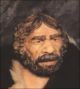 Neanderthaler